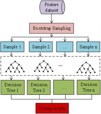 A model for identifying the feeder-transformer relationship in distribution grids using a data-driven machine-learning algorithm